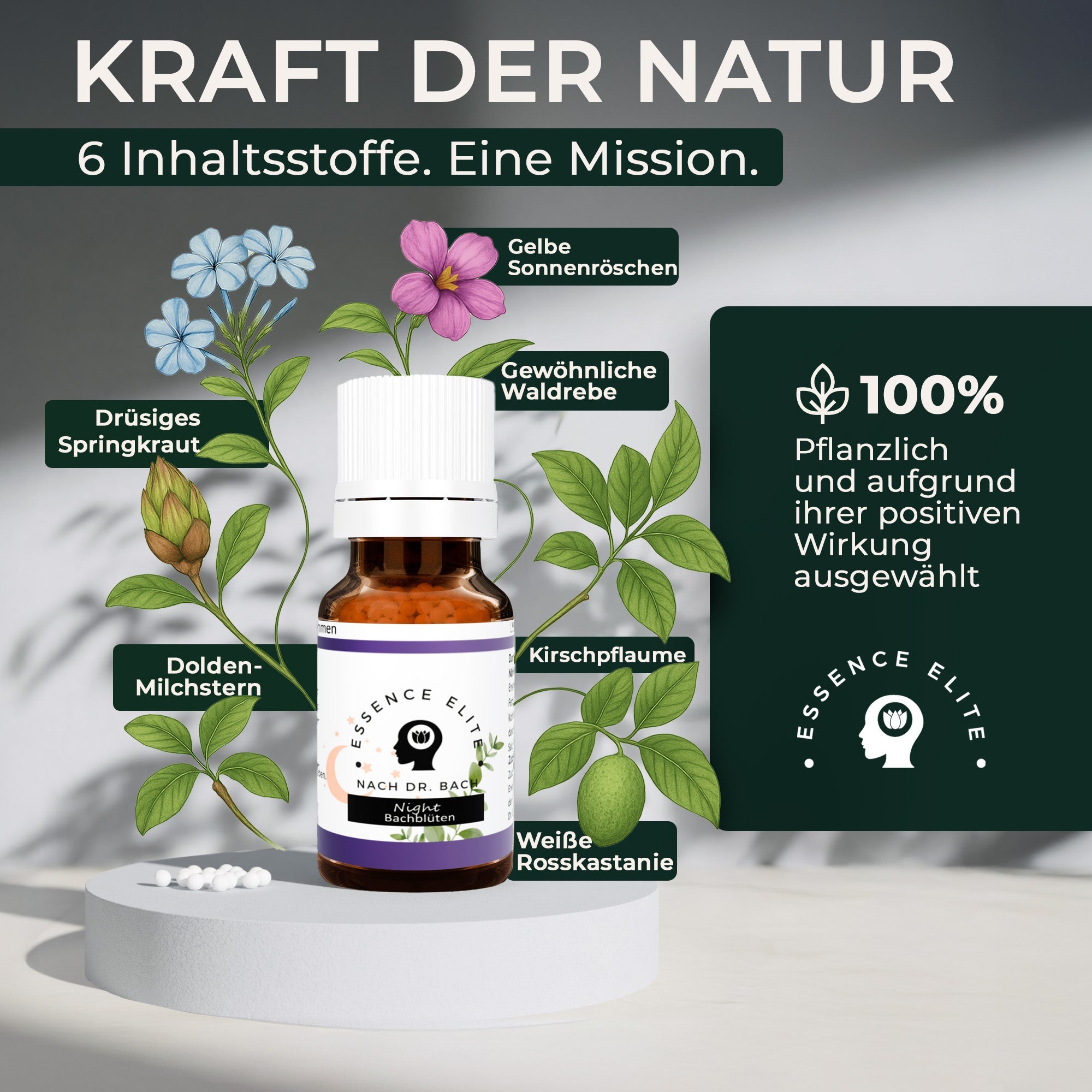 Bachblüten - Globuli Night - Essence Elite