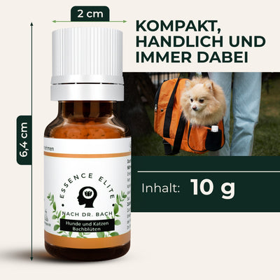 Größe des Fläschchens: 2 Zentimeter breit, 6,4 Zentimeter hoch, Inhalt 10 Gramm. Im Bild ein kleiner Hund in einer Tragetasche