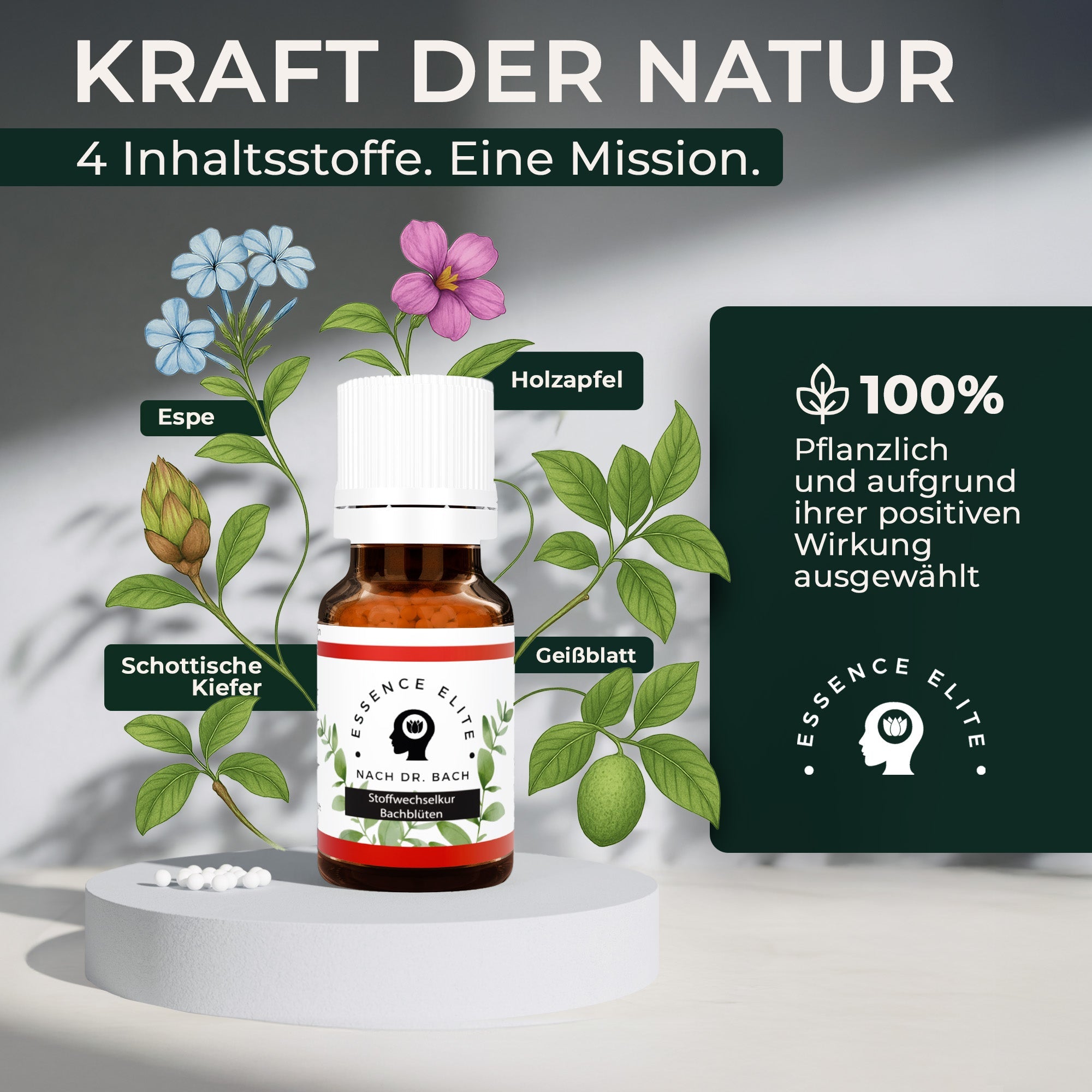 Bachblüten - Globuli Stoffwechsel - Essence Elite